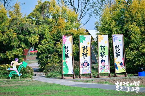 多彩冬日,来这里探寻彭派生活